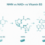 NMN vs NAD+ vs Vitamin B3